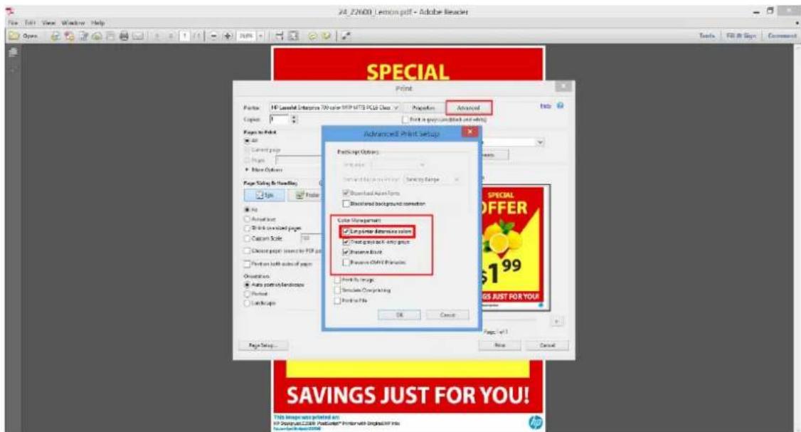 HP DesignJet Z2600 PostScript - Χρήση του Adobe Acrobat Reader - 4