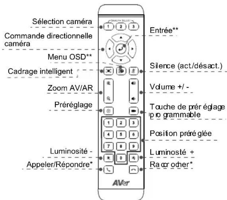 AVer VC520 Pro - Télécommande - 1