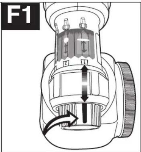 F1