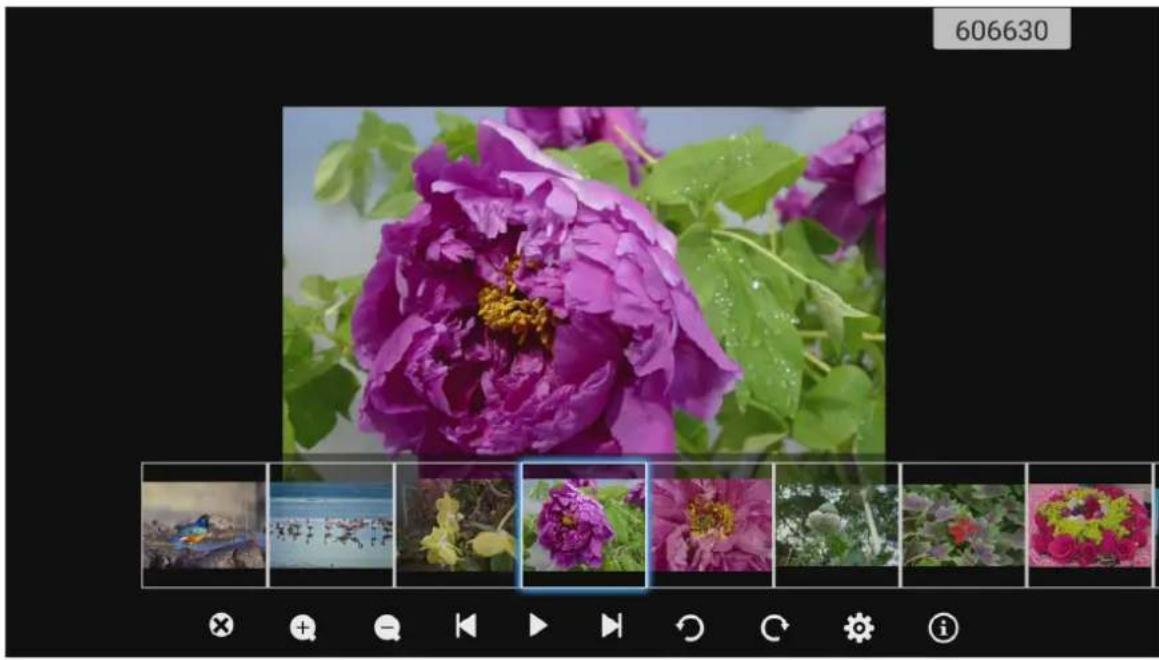 OPTOMA 5861RK - Visualisation de photos - 1