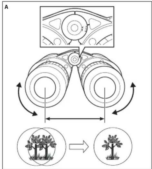 NIKON WX - About the interpupillary distance scale - 1