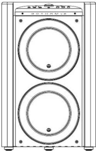 JL Audio Gotham g213 v2 - 1