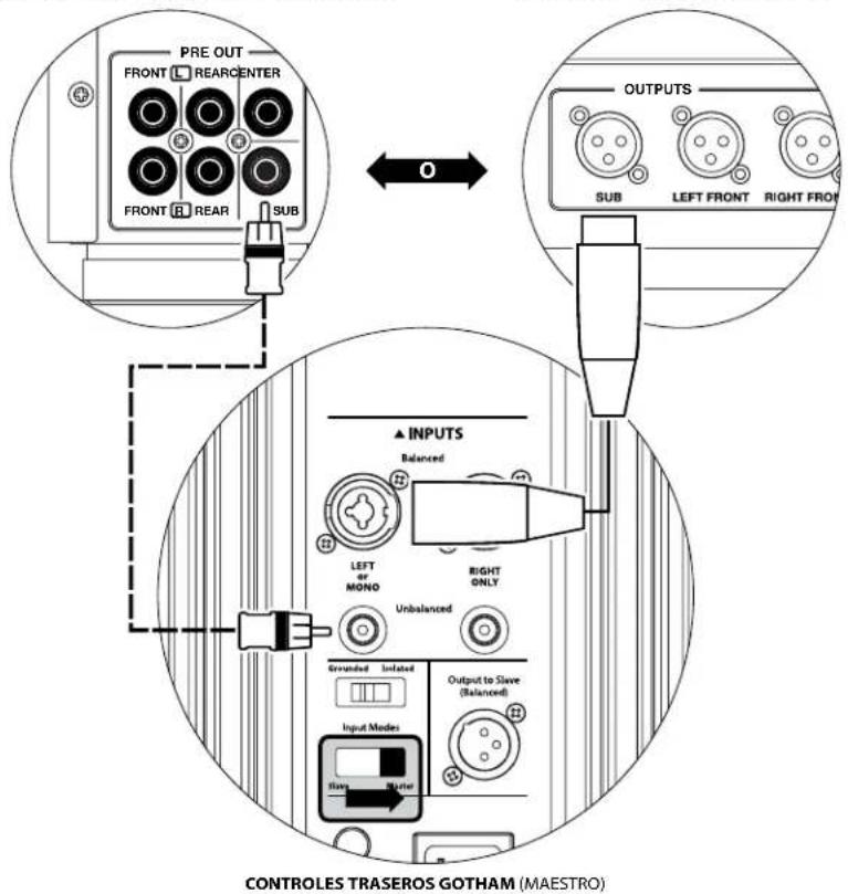 JL Audio Gotham g213 v2 - Conector de alimentacion por CA estilo IEC - 1