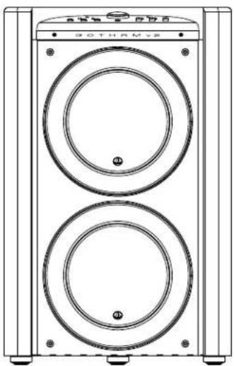 JL Audio Gotham g213 v2 - 1