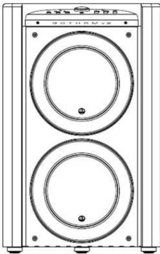 JL Audio Gotham g213 v2 - 1