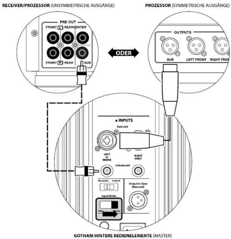 JL Audio Gotham g213 v2 - IEC-Kaltgerästecker - 1