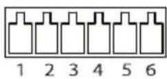 AXIS Q8741E - E/A-Anschluss - 1