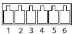 AXIS Q8741E - Connettorel/O - 1