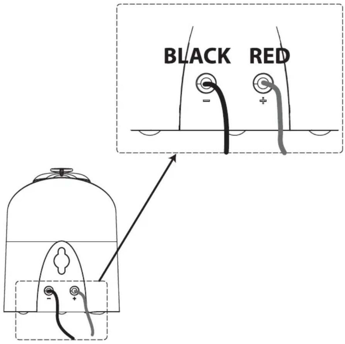 BLACK RED - +