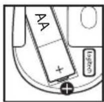 AA + + +