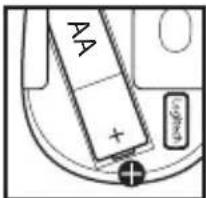 AA + Laner