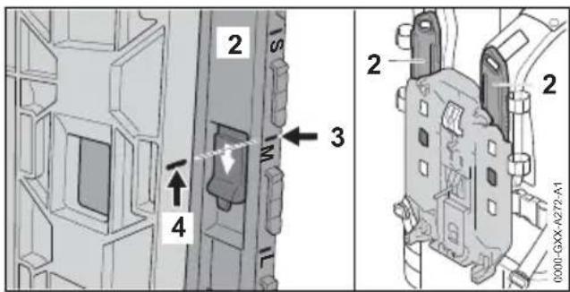STIHL AR 2000 L - Adjusting Carrying System to Suit User's Height - 2