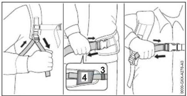 STIHL AR 2000 L - Tragsystem anlagen und einstellen - 2