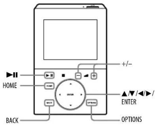 HOME BACK +/- ENTER ▲/▼/◄/►/ ENTER OPTIONS