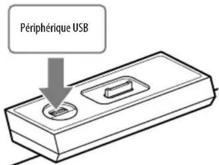 Périphérique USB