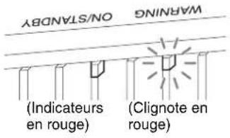 SONY VPLVW890ES - À propos des indicateurs - 2