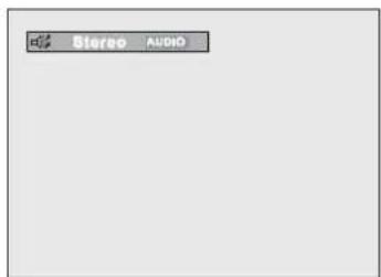 SAMSUNG DVDL707 - Using the AUDIO button - 2