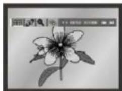 SAMSUNG DVDL707 - NOTE: - 2