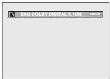 SAMSUNG DVDL707 - Using the AUDIO button - 1