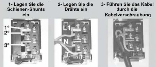 CANDY TRIO4GWNT - Fur den Anschluss: - 1