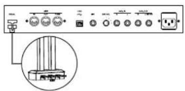 Thomann DP275 - Unité de pédales - 1