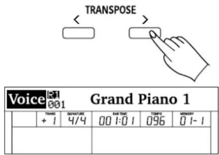 Thomann DP275 - Transposition - 1