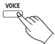 Thomann DP275 - Sélectionner le son - 1