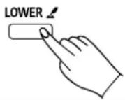 Thomann DP275 - Mode Split - 1