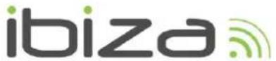 IBIZA SOUND FREESOUND300 - Déclaration CE de conformité - 1