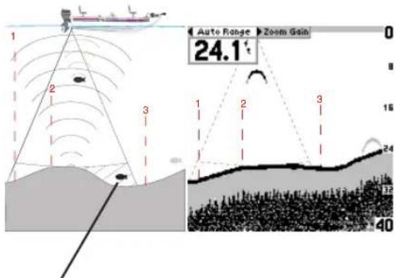 GARMIN Fishfinder 240 Blue - Fonctionnement de l'appareil et la carte - 1