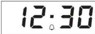 PRIVILEG PHVR6 OH8V2 IN - SETTING THE TIMER - 2
