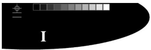 POLAR Power Output Sensor - MONTAGE - 3