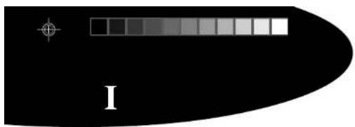 POLAR Power Output Sensor - 2