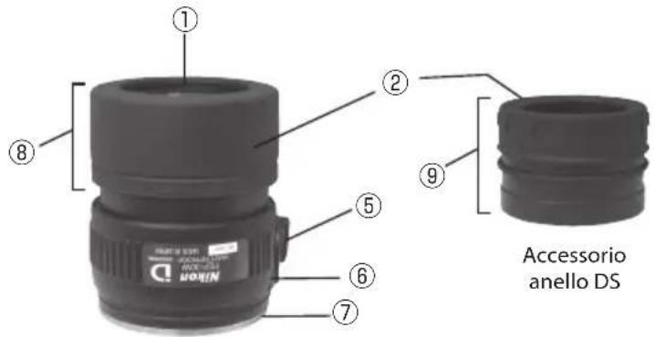 NIKON Fieldscope EDG VR - Nomenclatura (oculari) - 2