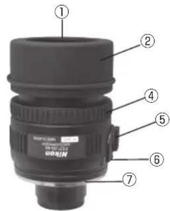 NIKON Fieldscope EDG VR - Nomenclatura (oculari) - 3