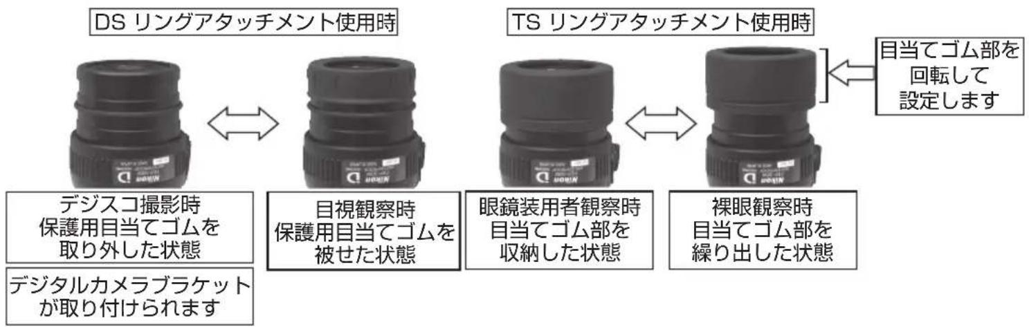 NIKON Fieldscope EDG VR - 各接眼レンズの使用状態 - 2