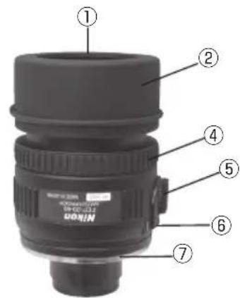 NIKON Fieldscope EDG VR - Teilebezeichnungen (Okulare) - 2