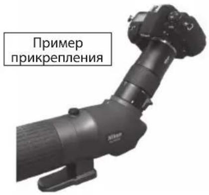 NIKON Fieldscope EDG VR - Ripresa - 23