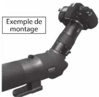 NIKON Fieldscope EDG VR - Démontage - 1