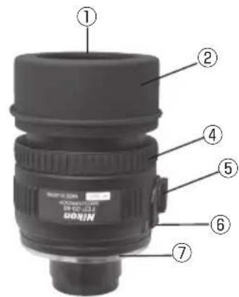 NIKON Fieldscope EDG VR - Номенклатура (окуляры) - 2