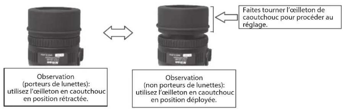 NIKON Fieldscope EDG VR - Adéquation des oculaires - 14
