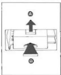 A B