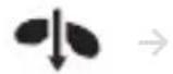 BLUEANT Pump Lite - PARLARE - 2