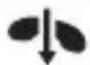 BLUEANT Pump Lite - TALK - 2