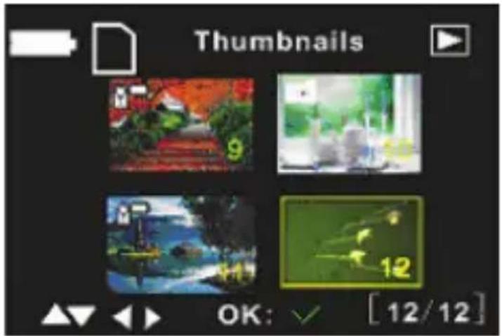 Thumbnails OK: ✓ [12/12]