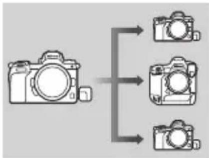 NIKON WRR11b - Déclenchement synchronisé avec la WR-R11a/WR-R11b - 1