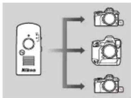 NIKON WRR11b - Déclenchement simultané avec la WR-T10 - 1