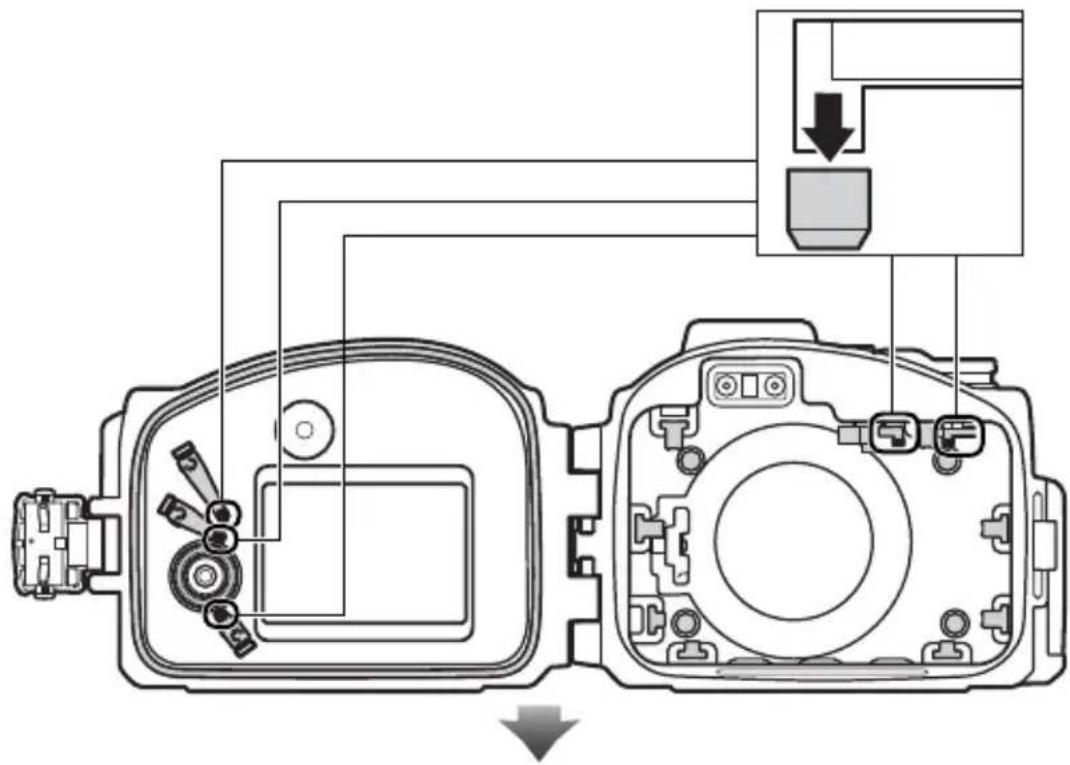 NIKON WPN3 - A Extensor de contactos (× 5) - 1