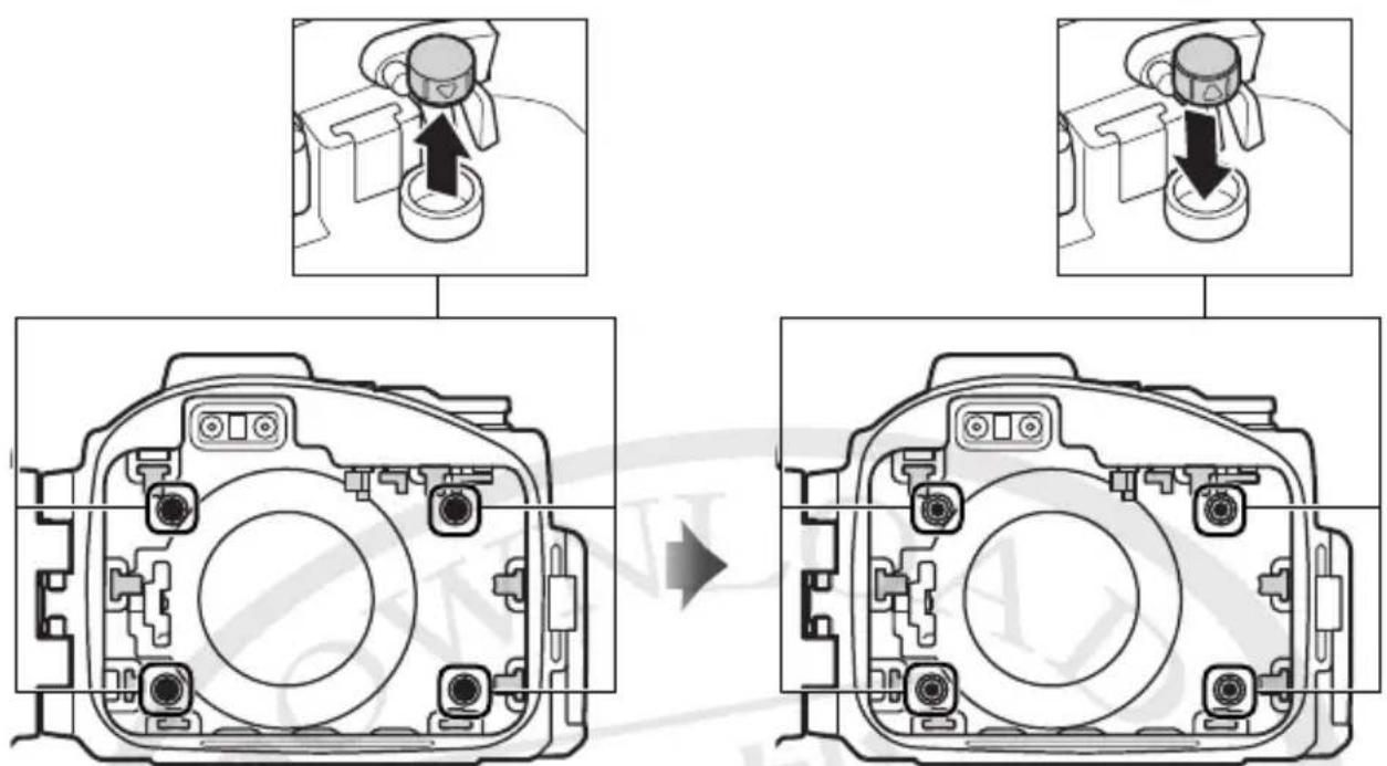 NIKON WPN3 - 重要提示！ - 4