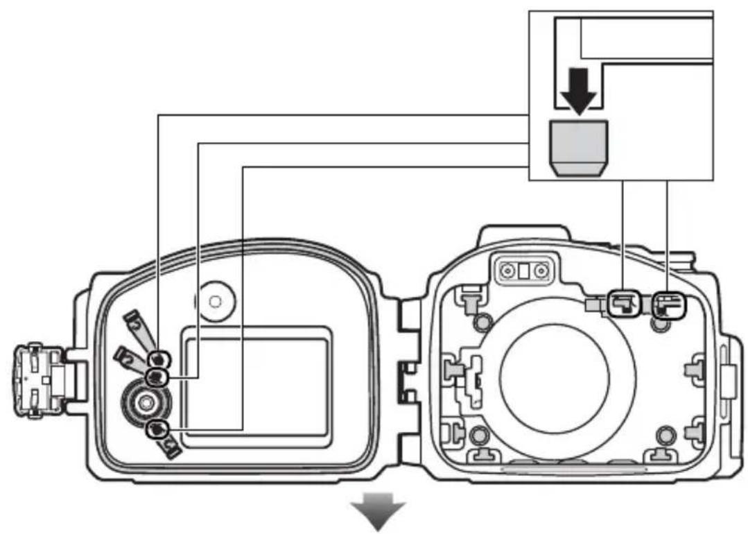 NIKON WPN3 - A Rallonge de contact (× 5) - 2